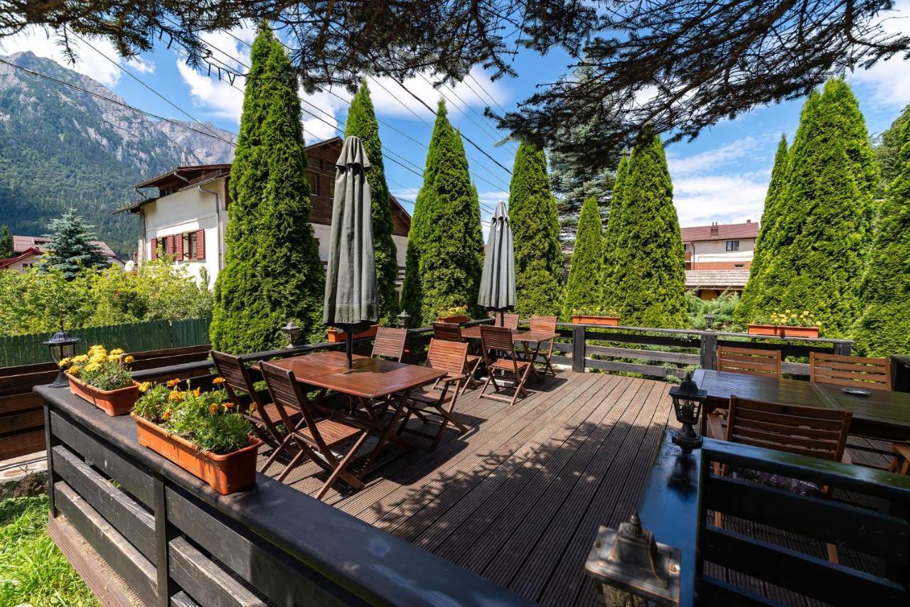 Casa Freya Hotel Busteni Bagian luar foto
